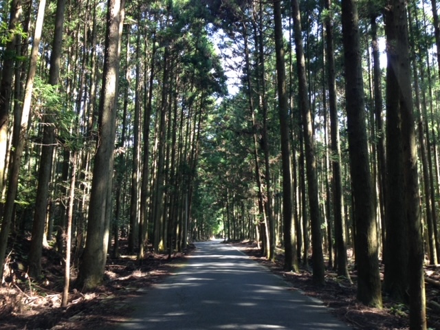 温泉イメージ
